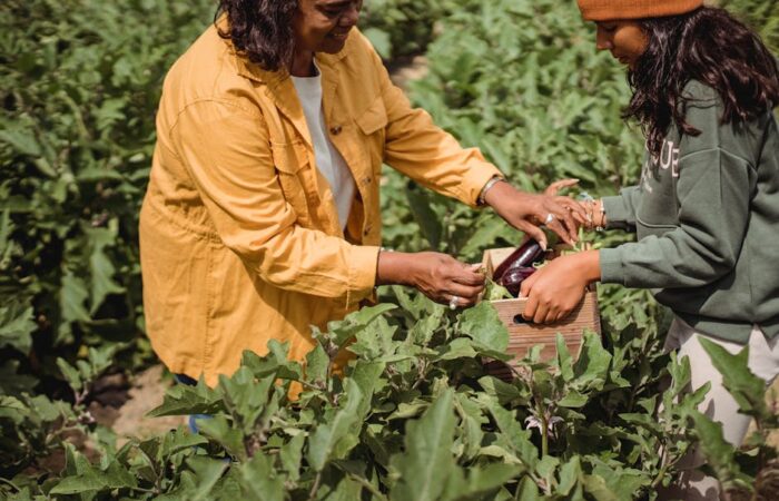 Before and after comparison of packaging redesign—left side flat glossy box in bright colors right side earthy textured box with organic shapes showing side by side on retail shelf mockup