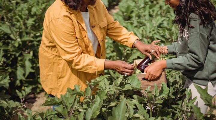 Before and after comparison of packaging redesign—left side flat glossy box in bright colors right side earthy textured box with organic shapes showing side by side on retail shelf mockup