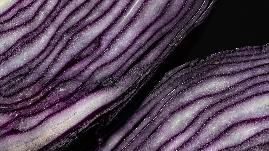 Close up of high barrier pouch cross section diagram illustrating layers PET foil PE blocking oxygen and moisture next to fresh vs spoiled food comparison