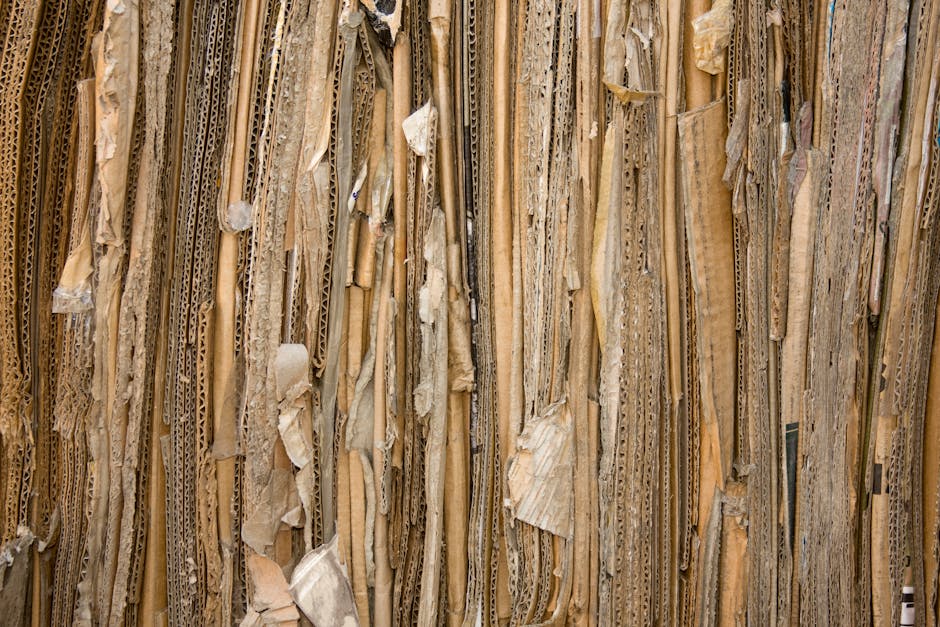 sustainable packaging materials bamboo fiber cardboard eco friendly